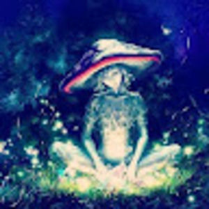 Meet your Posher, Phylecia